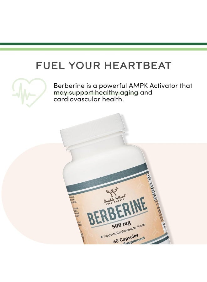 Berberine Supplement 500mg, 60 Capsules (Third Party Tested, Non-GMO, Gluten Free, Vegan Safe) AMPK Activator - Berberine HCL for Cardiovascular Health by Double Wood - Image 5